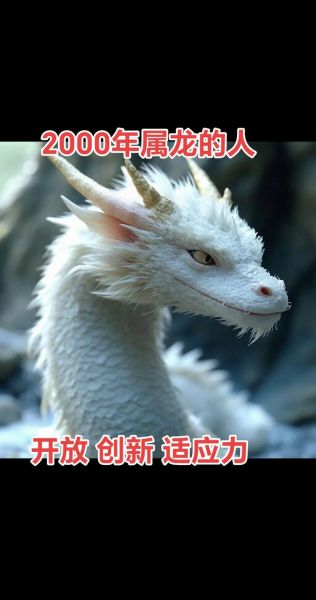 龙年财运_2000年属龙人如何提升财富