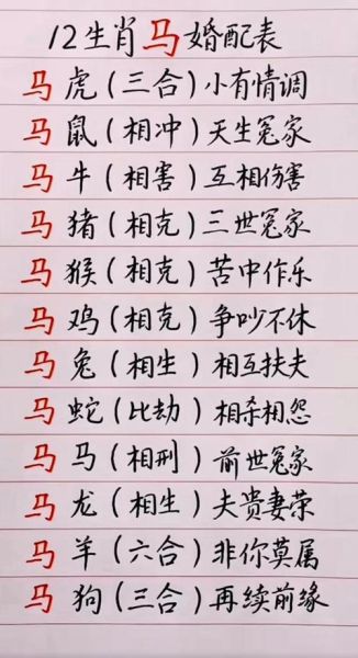 马和什么属相相冲_属马不宜配哪些生肖