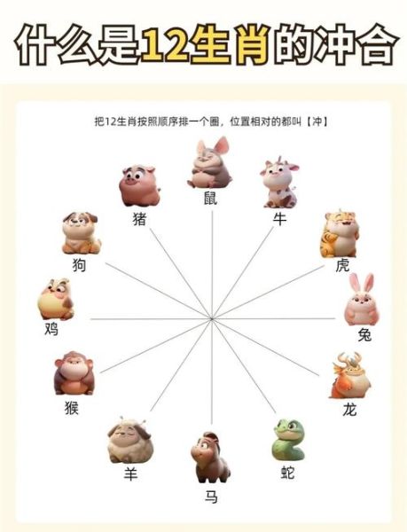 12属相相冲怎么办_属相相合查询表