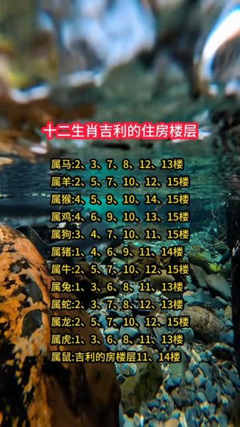 属鼠住几楼最旺财运_生肖鼠买房楼层风水禁忌