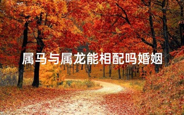 龙马属相相配吗_属龙和属马婚姻合不合