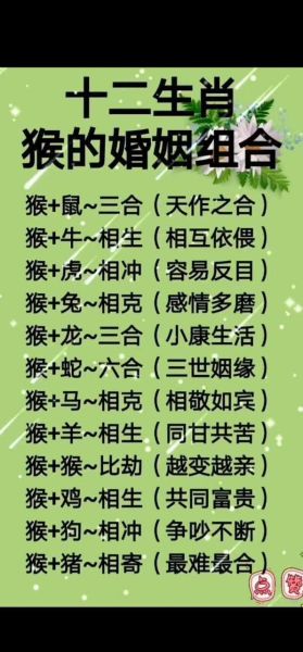 猴子与鸡属相合不合_婚姻财运事业全解析