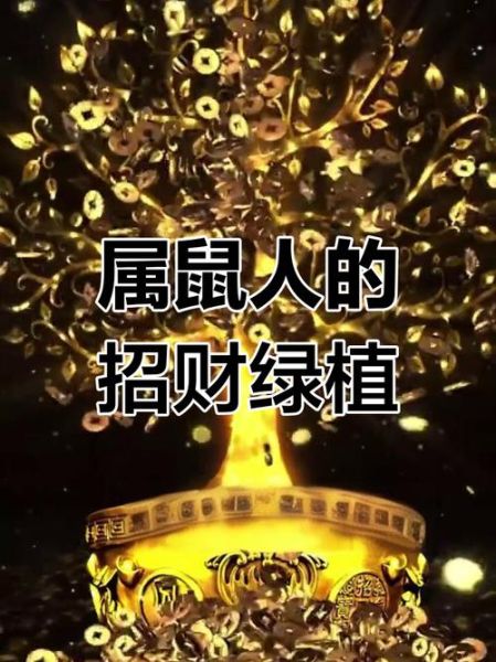 鼠年财运如何_属鼠人如何提升财运