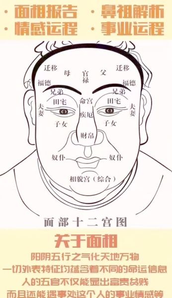 额头看性格财运_额头宽的人真的有钱吗