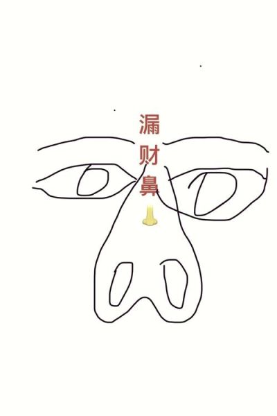 鼻头黑影响财运么_鼻头黑真的破财吗