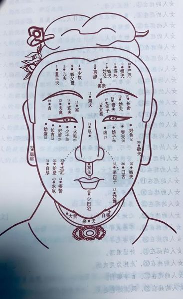 额头面相怎么看财运_额头高财运真的好吗