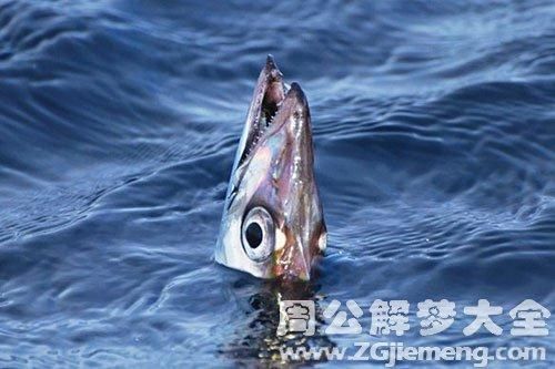 梦到7个7是什么意思_梦见7777777预示什么