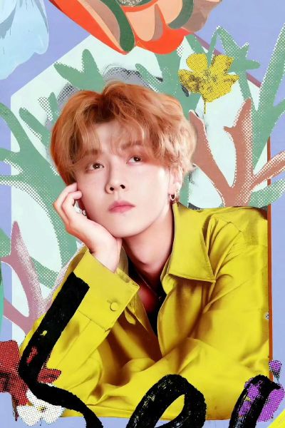 鹿晗2024运势怎么样_鹿晗今年事业财运如何