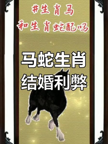 马和蛇的属相和吗_属马与属蛇婚配好吗
