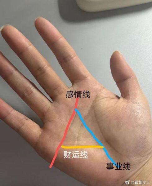 财运线是哪一条_事业线怎么看图解