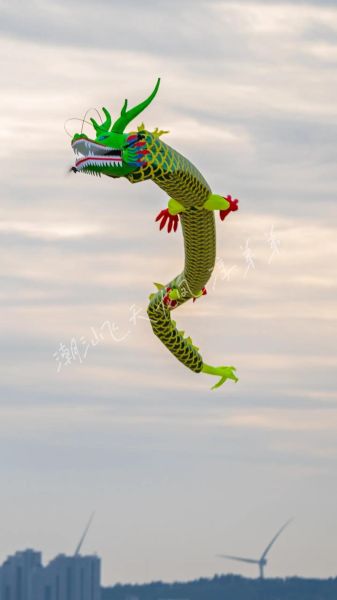 梦到龙升天是什么意思_梦见龙飞上天预示什么