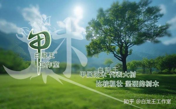 甲木己亥流年财运如何_甲木己亥流年财运提升方法