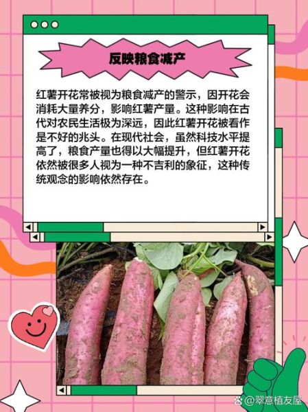 梦到红薯是什么意思_周公解梦红薯寓意