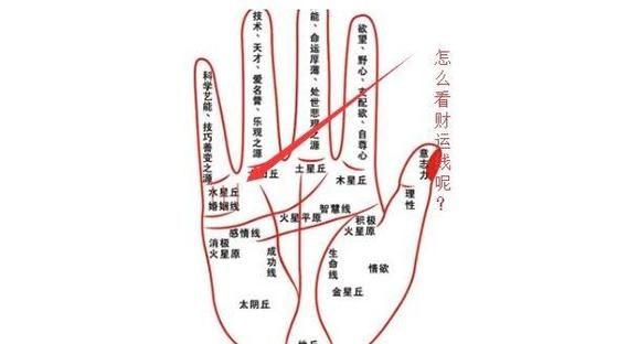 财运线左手怎么看_左手财运线断了怎么办