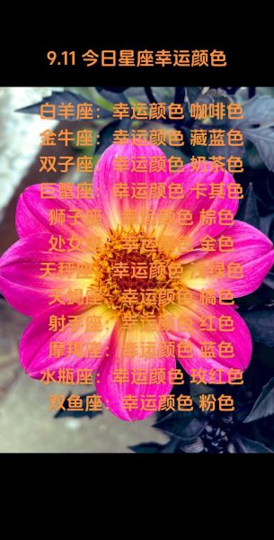白羊座今日幸运颜色是什么_如何运用色彩提升运势