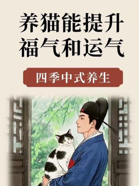 竹猫运势是什么_竹猫运势怎么看