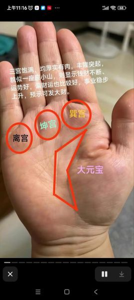 财运线两条平行代表什么_手相财运线怎么看