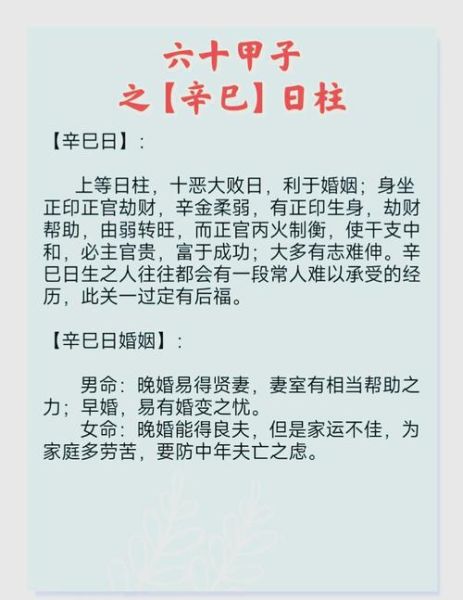 辛未日柱财运_辛未日柱如何提升财运