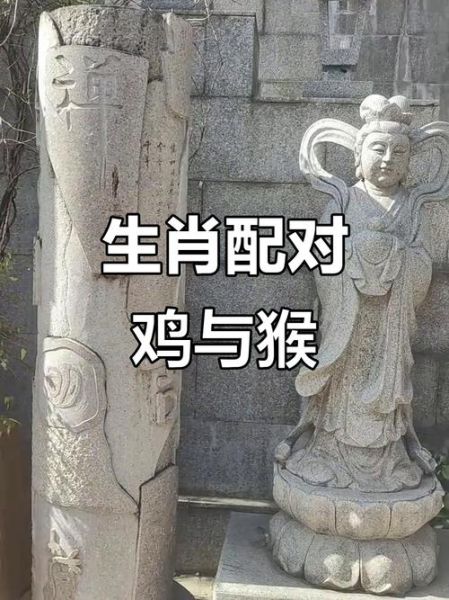 鸡和猴属相合吗_鸡猴婚配如何化解冲突