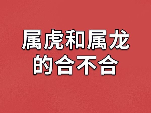 龙虎斗属相_属龙属虎相冲吗