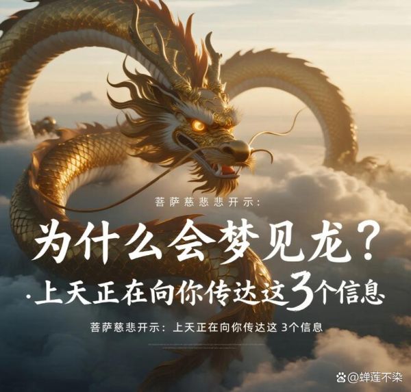 梦到龙好不好_梦见龙是什么预兆
