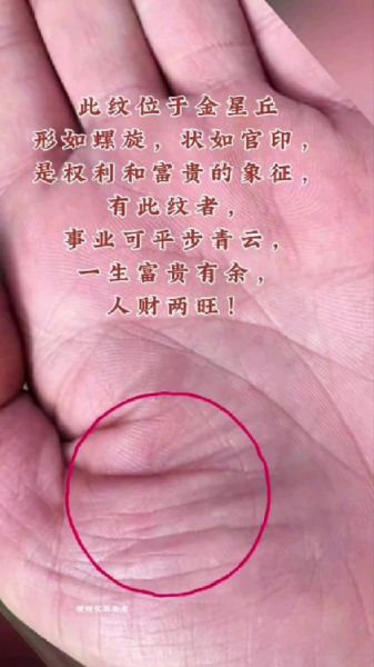 金星纹财运怎么看_金星纹财运真的准吗