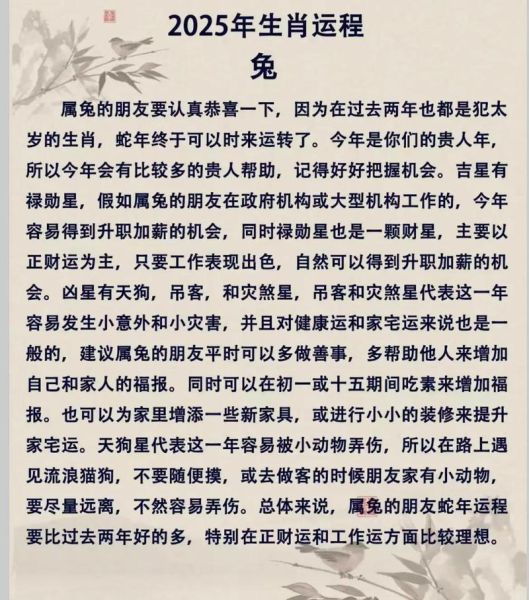 生肖兔2019年运势详解_属兔人2019年每月运程
