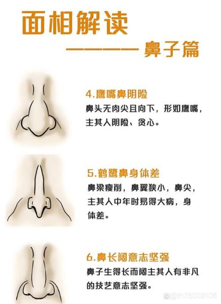 看鼻子财运怎么看_鼻子看财运准吗