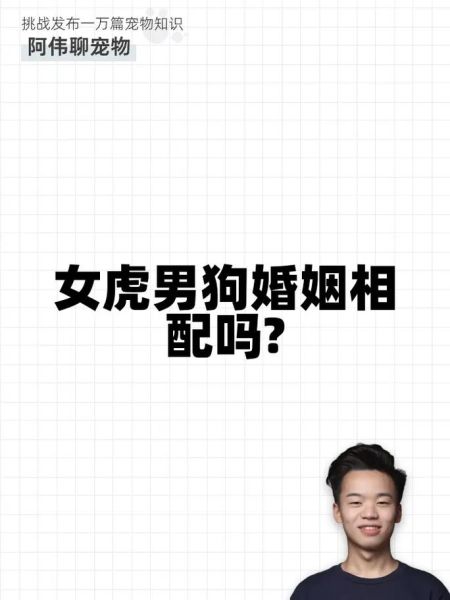 老虎和狗属相合不合_属虎属狗能结婚吗