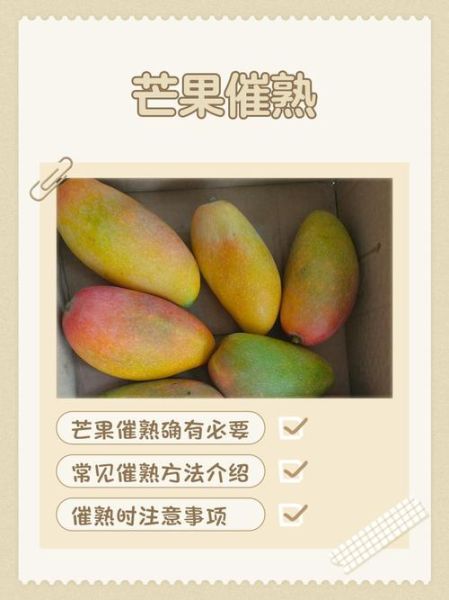 梦到芒果是什么意思_梦见芒果的吉凶预兆