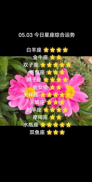 白羊女今日运势如何_白羊女今日感情运势