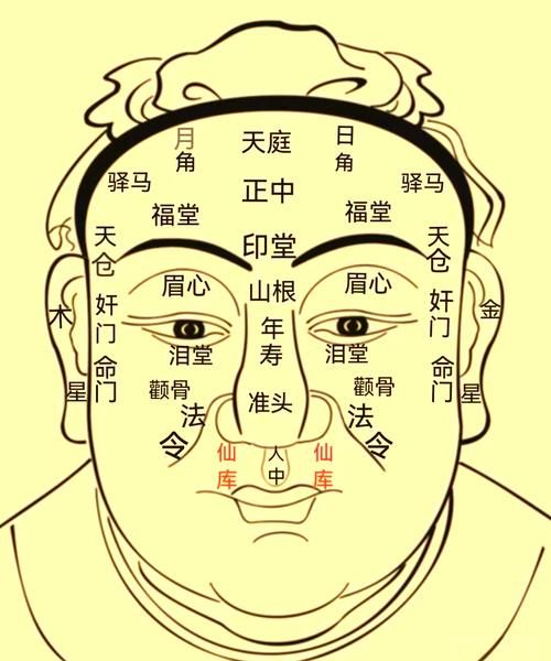 测面部财运准吗_如何通过面相看财富运势