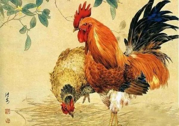 男猴女鸡生什么属相好_最佳宝宝生肖