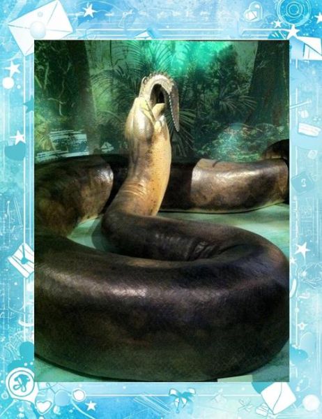 梦到金色大蟒蛇是什么意思_金色蟒蛇梦境解析