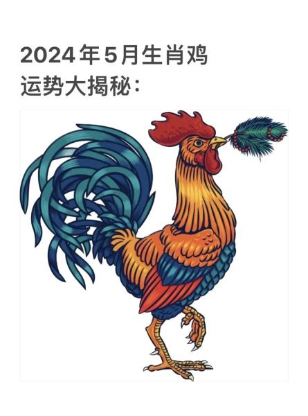 属鸡的人性格特点_属鸡人2024年运势如何