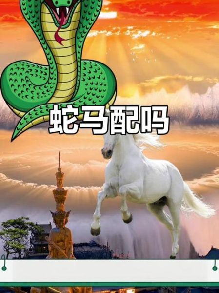 属蛇属马的生什么属相好_属蛇属马夫妻最佳宝宝生肖