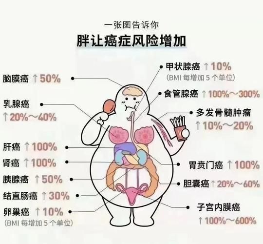 身体发胖是财运变好的征兆吗_为什么一胖就有钱
