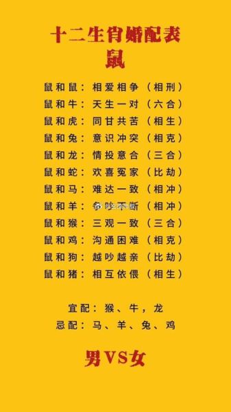 男马女鼠属相婚配好吗_男马女鼠婚姻如何化解相冲
