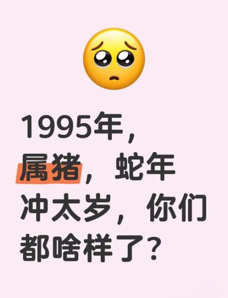 1995年属猪人2019年运势_如何化解太岁
