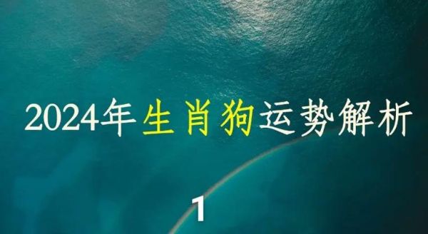 属狗今年婚姻运势如何_属狗2024年感情走向