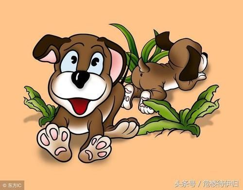 死人属相有什么讲究_逝者生肖对后代的影响