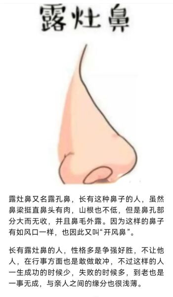 男人鼻相看财运_鼻子哪个部位代表财富
