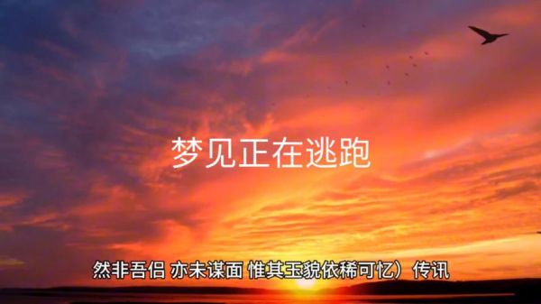 梦到逃难是什么意思_梦见逃难预示什么