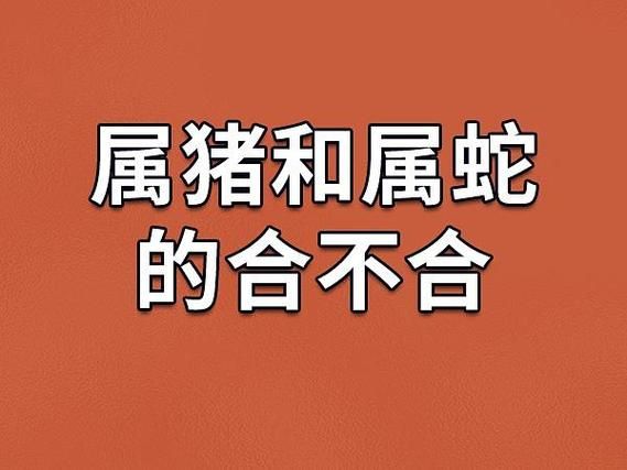 男属猪女属蛇婚姻如何_夫妻运势解析