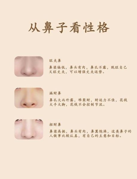 鼻子财运怎么看_鼻子财运图解