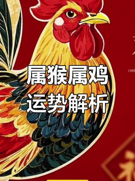 男猴女鸡财运相冲怎么办_如何化解财运不合