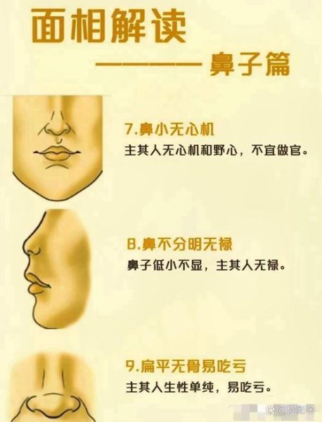 鼻梁低鼻头大运势_面相解析与改运方法