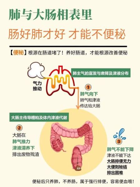 梦见便秘是什么意思_如何缓解梦中便秘焦虑