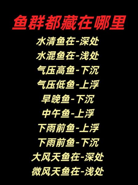 钓鱼能招财吗_钓鱼提升财运的秘诀