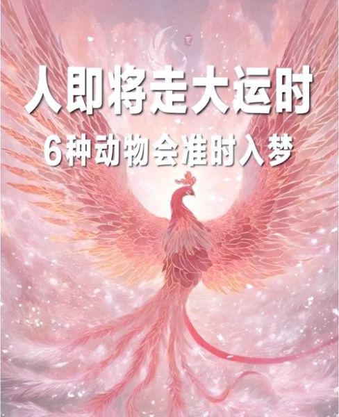 梦见动物是什么意思_如何解梦动物象征